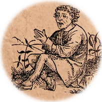 Criatura cartográfica -Hipopodio-